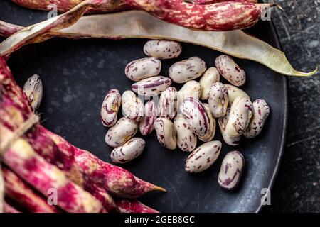 Cranberry-Bohnen. Bohnen-Pads auf dem Teller. Draufsicht. Stockfoto
