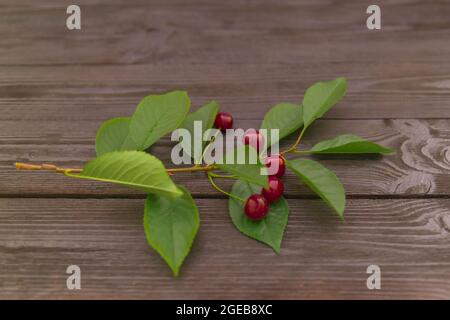 Kirschen auf einer Basis aus schwarzen Brettern angeordnet. Unter der Frucht befindet sich ein Zweig mit Blättern. Stockfoto