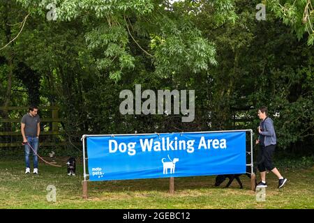 Swindon, England - 2021. august: Menschen, die mit ihren Hunden auf einem ausgewiesenen Übungspgelände an der Autobahnstation von Leigh Delamere herumlaufen. Stockfoto