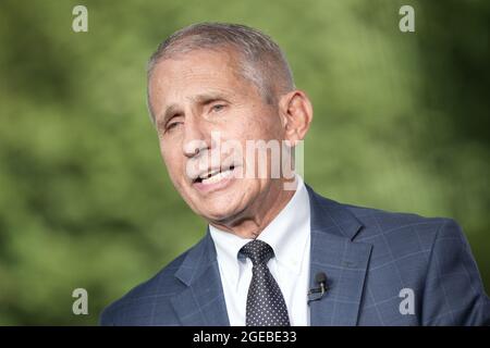 Dr. Anthony Fauci, Direktor des National Institute of Allergy and Infectious Diseases an den National Institutes of Health, nimmt am 18. August 2021 an einem Netzwerkinterview im Weißen Haus in Washington, DC Teil.Quelle: Chris Kleponis/CNP /MediaPunch Stockfoto