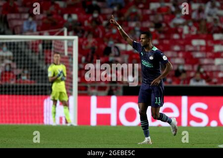 Lissabon, Portugal. August 2021. Cody Gakpo vom PSV Eindhoven feiert am 18. August 2021 im Luz-Stadion in Lissabon, Portugal, ein Tor während des UEFA Champions League-Play-off-Fußballspiels zwischen SL Benfica und PSV Eindhoven. (Bild: © Pedro Fiuza/ZUMA Press Wire) Stockfoto