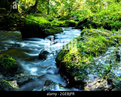 Naturschutzgebiet Triebtal im Vogtland in Sachsen Stockfoto