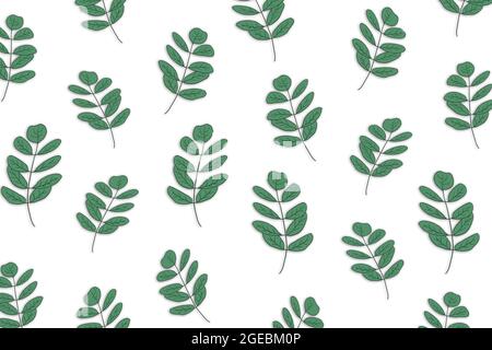 Handgezeichnete grüne Pflanze mit weißem Hintergrund Vektorgrafik. Stockfoto