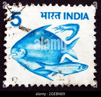 INDIEN - UM 1976: Eine in Indien gedruckte Marke zeigt Fische, um 1976 Stockfoto