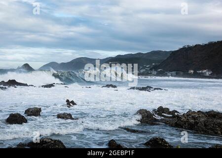 Riesige Wellen brechen in Houghton Bay, Wellington, Neuseeland, ein Stockfoto