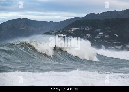 Riesige Wellen brechen in Houghton Bay, Wellington, Neuseeland, ein Stockfoto
