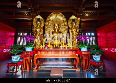 HONGKONG - 22. FEBRUAR 2013: Das Chi Lin Nunnery ist ein buddhistischer Tempelkomplex in Diamond Hill, Kowloon in Hongkong in China Stockfoto