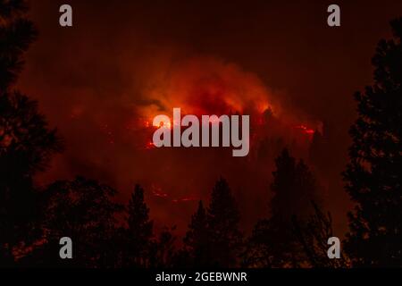 Janesville, USA. August 2021. Am 17. August 2021 brennt ein Berghang während des Dixie-Feuers in der Nähe von Janesville, CA. (Foto: Daniel Brown/Sipa USA) Quelle: SIPA USA/Alamy Live News Stockfoto