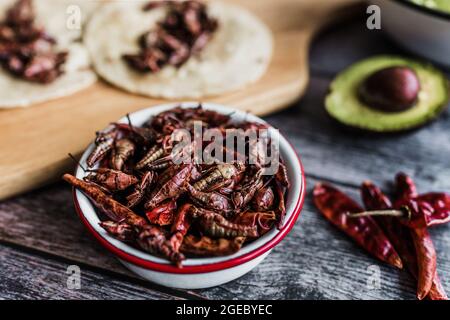 Grashüpfer oder Chapulines Snack. Traditionelles mexikanisches Essen aus Oaxaca, Mexiko Stockfoto