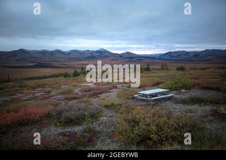 In der Herbst-Tundra steht ein einsitzender Picknicktisch an einem Rastplatz nahe dem Polarkreis entlang des Dempster Highway im Yukon Territory, Kanada. Stockfoto