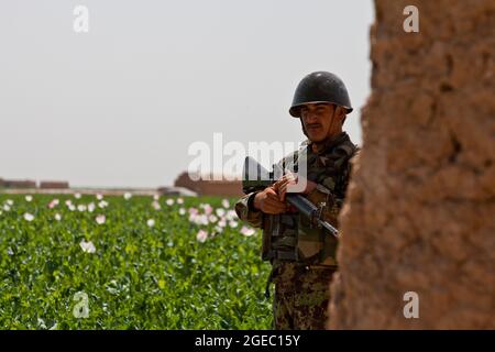 PATROUILLENBASIS FULOD, Provinz Helmand, Islamische Republik Afghanistan - Seaman Orlando C. Farase, ein Korpsmann für das Beratungsteam 4, das der Firma C, 1. Bataillon, 5. Marine-Regiment, angeschlossen ist, verbanden während einer Patrouille in Sangin, Afghanistan, Mai 11, die Hand eines Kindes. Soldaten der afghanischen Nationalarmee vom 2. Tolay, 2. Kandak, führten die Anwesenheitssatrouille durch Sangin und wurden von Marine-Beratern für das Team begleitet, die ausschließlich dort waren, um die ANA-Soldaten zu beobachten und Feedback zu geben. Farase, 22, stammt aus Pensacola, Florida Stockfoto