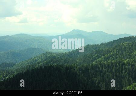 Blick von der Spitze eines hohen Berges auf die Gipfel der Hügel überwuchert mit dichten Nadelwald unter einem hellen Sommer wolkigen Himmel. Auf dem Gipfel des Mount Stockfoto