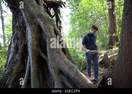 Blaine, Washington DC, USA. August 2021. Andrew Bigelow, ein Tracker der WSDA, sucht am Dienstag, den 18. August 2021, während eines Trainingstages für riesige Hornissenfelder im Birch Bay State Park in Blaine, Washington, nach einem versteckten Funksender. Das Landwirtschaftsministerium des Bundesstaates Washington bildet das Personal mit dem Landwirtschaftsministerium von Oregon in Bezug auf die Reaktion auf asiatische Hornisten in der Region aus. Quelle: Paul Christian Gordon/Alamy Live News Stockfoto