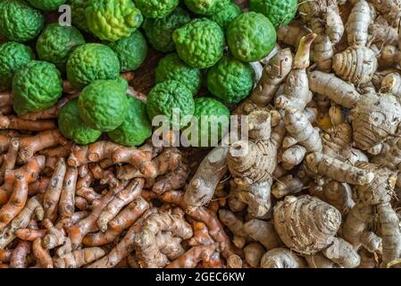 Hintergrund von frischen Kräutern, die immer in Thailand verwendet. Nahaufnahme von Bergamotte, Ingwer und Kurkuma. Ausgewähltes Fokusbild. Stockfoto