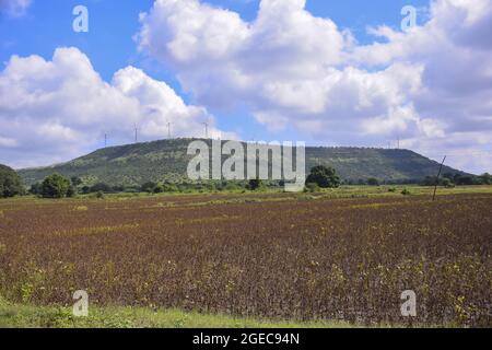 Windmühlen auf einem Bergrücken im See, Sojabohnenfeld, himmlisch im Hintergrund Stockfoto