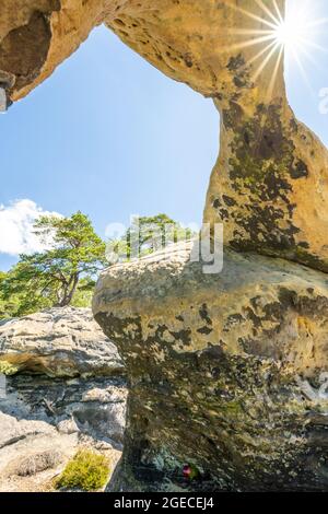 Bodenansicht des einzigartigen Sandsteinbogens im Kiefernwald am trockenen sonnigen Sommertag. Böhmisches Paradies, Tschechische Republik Stockfoto