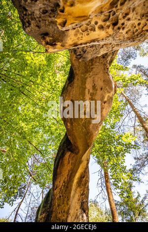 Bodenansicht des einzigartigen Sandsteinbogens im Kiefernwald am trockenen sonnigen Sommertag. Böhmisches Paradies, Tschechische Republik Stockfoto