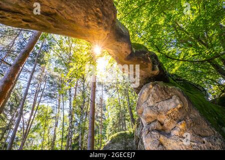 Bodenansicht des einzigartigen Sandsteinbogens im Kiefernwald am trockenen sonnigen Sommertag. Böhmisches Paradies, Tschechische Republik Stockfoto