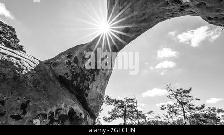 Bodenansicht des einzigartigen Sandsteinbogens im Kiefernwald am trockenen sonnigen Sommertag. Böhmisches Paradies, Tschechische Republik. Schwarzweiß-Bild. Stockfoto