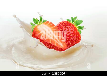 Erdbeere, die auf weißem Hintergrund in spritzende Milch fällt Stockfoto