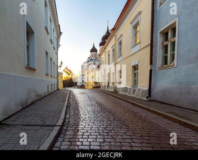 Eine alte Straße mit einem Pflastersteinpflaster am frühen Morgen. Tallinn. Estland. Stockfoto