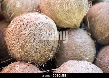 Kokosnüsse Hintergrund. Reife Kokosnüsse in Muscheln auf der Theke eines Obstmarktes. Hochwertige Fotos Stockfoto