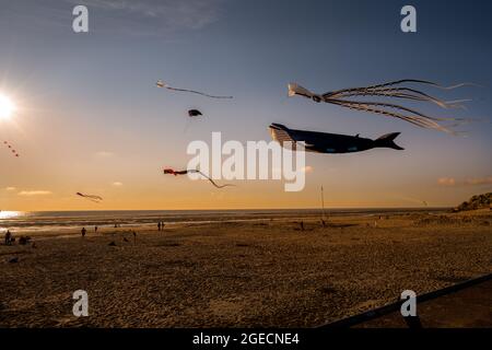 LE TOUQUET-PARIS-PLAGE, FRANKREICH - 10. AUGUST 2021: Drachen am Strand von Le Touquet-Paris-Plage im Sommer, Nordfrankreich Stockfoto