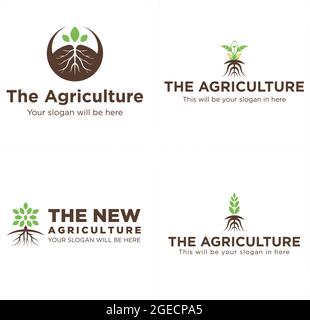 Landwirtschaft Saatgutanbau Landwirtschaft Logo Design Stock Vektor