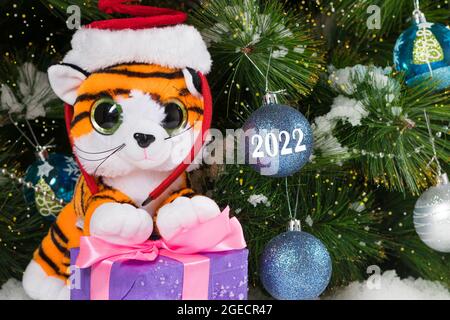 Weihnachten 2022 Neujahrstiger mit einem Geschenk in der Nähe des Baumes im Schnee. Schöner Kartenplatz für Text. Stockfoto