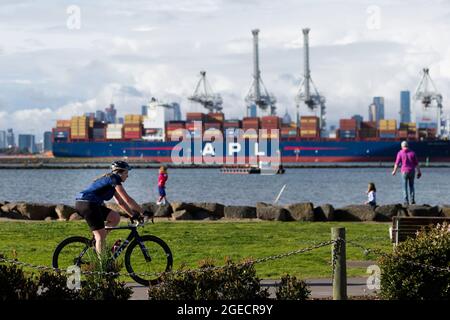 Melbourne, Australien, 16. August 2020. Eine Frau wird auf ihrem Fahrrad entlang des Williamstown-Vorhores gesehen, während die Einheimischen die Sonne während des COVID-19 in Melbourne, Australien, genießen. Victoria hat über Nacht 16 COVID-bedingte Todesfälle und weitere 279 neue Fälle verzeichnet. Dies kommt inmitten von Spekulationen, dass die Sperrungen verlängert werden und die regionale Victoria möglicherweise weitere Beschränkungen über die Phase 3 hinaus in die Überlegungen einbringt. Kredit: Dave Hewison/Speed Media/Alamy Live Nachrichten Stockfoto