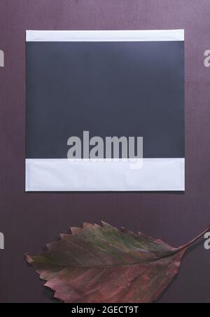 Ansicht des Fotorahmens auf burgunderrotem Hintergrund, Erinnerung an eine Reise oder ein Abenteuer. Fotokarte mit Platz für Ihr Logo Stockfoto