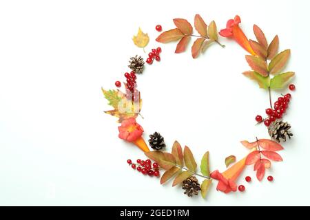 Thanksgiving Day Komposition auf weißem Hintergrund, Platz für Text Stockfoto