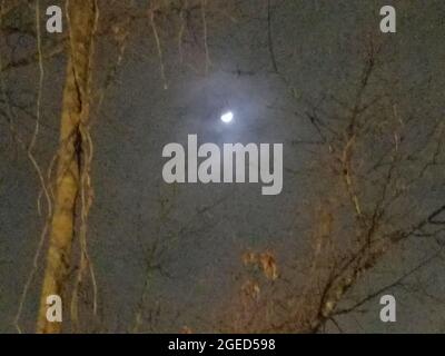 Der Mond fand in der Nacht seinen Weg durch die Wolken und in eine Lücke in den Bäumen. Stockfoto