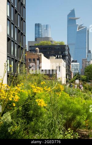 Ein Blick auf die Skyline von New York City von der High Line bis zu 30 Hudson Yards und der Aussichtsplattform Edge Stockfoto