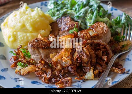 Gebratenes Fleischgericht mit Schweinefilet, Kartoffelpüree, frittierten Zwiebeln und grünem Salat. Nahaufnahme Stockfoto