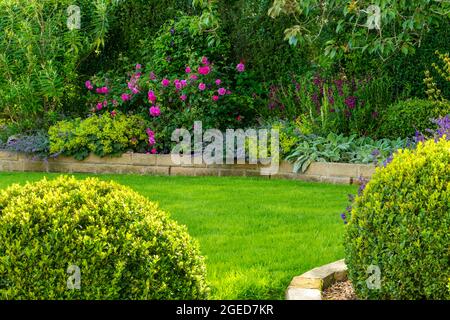 Landschaftlich schöner, sonniger privater Garten (modernes Design, farbenfrohe Sommerblumen, Randpflanzen, gepflegter Rasen, niedrige Steinmauern) - Yorkshire, England, Großbritannien. Stockfoto