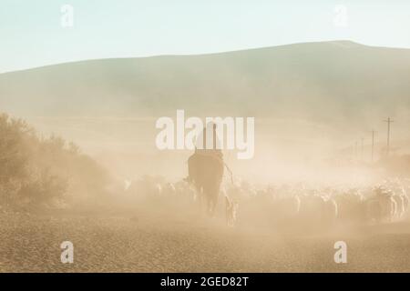 Gauchos in Patagonien, Argentinien Stockfoto