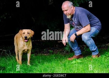 Schöner Mann spielt mit seinem glücklichen goldenen labrador Retriever Hund auf dem Garten Rasen. Der Mann hat Spaß mit dem loyalen Stammhund im Freien im Sommerhaus-Garten. Hochwertige Fotos Stockfoto