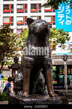 Hachiko, ein Akita-Hund, wurde während der 20er Jahre vor der Shibuya-Station in Erinnerung gebracht, wo er täglich auf seinen Meister wartete, der einige Zeit zuvor verstorben war. Stockfoto