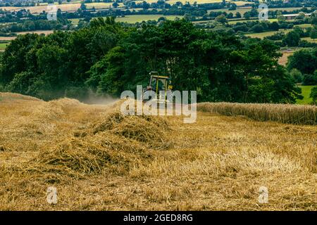 Heuernte im August Stockfoto