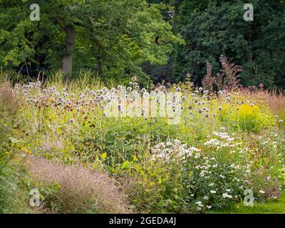 Eine krautige Grenze in einem britischen Garten Stockfoto