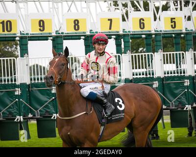 Jockey Ben Robinson auf Mid Winster beim York Ebor Racing Festival. Stockfoto