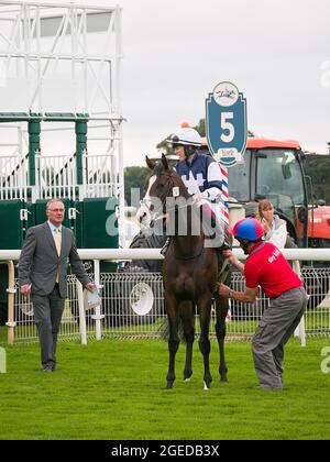 Saffie Osborne beim Ebor Racing Festival auf der York Racecourse auf dem Tenaya Canyon. Stockfoto