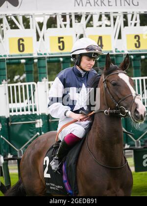 Saffie Osborne beim Ebor Racing Festival auf der York Racecourse auf dem Tenaya Canyon. Stockfoto