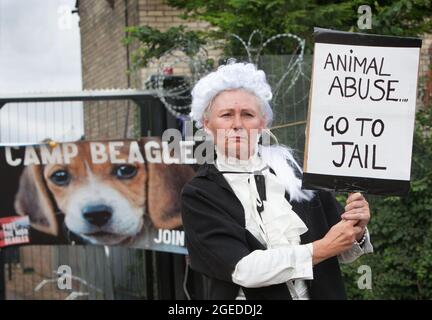 Ein als Richter gekleideter Protestler hält während eines Protestes in Camp Beagle ein Schild mit der Aufschrift „Tiermissbrauch, ins Gefängnis gehen“ hoch. Das riesige amerikanische Unternehmen MBR Acres geht morgen, den 20. August, vor das hohe Gericht, um eine Anordnung zur Entfernung von Camp Beagle zu beantragen. Camp Beagle ist ein Protestcamp, das im Juli 2021 außerhalb von Beagle-Züchtern-Marshal-Bioressourcen (MBR) Acres am Straßenrand errichtet wurde. Die Bewohner des Lagers fordern ein Ende der Welpenzucht für Tierversuchslabors und wollen, dass die Hunde freigelassen und die Anlage geschlossen wird. Stockfoto