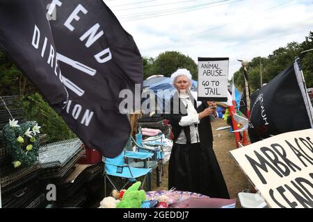 Ein als Richter gekleideter Protestler hält während eines Protestes in Camp Beagle ein Schild mit der Aufschrift „Tiermissbrauch, ins Gefängnis gehen“ hoch. Das riesige amerikanische Unternehmen MBR Acres geht morgen, den 20. August, vor das hohe Gericht, um eine Anordnung zur Entfernung von Camp Beagle zu beantragen. Camp Beagle ist ein Protestcamp, das im Juli 2021 außerhalb von Beagle-Züchtern-Marshal-Bioressourcen (MBR) Acres am Straßenrand errichtet wurde. Die Bewohner des Lagers fordern ein Ende der Welpenzucht für Tierversuchslabors und wollen, dass die Hunde freigelassen und die Anlage geschlossen wird. Stockfoto