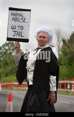 Ein als Richter gekleideter Protestler hält während eines Protestes in Camp Beagle ein Schild mit der Aufschrift „Tiermissbrauch, ins Gefängnis gehen“ hoch. Das riesige amerikanische Unternehmen MBR Acres geht morgen, den 20. August, vor das hohe Gericht, um eine Anordnung zur Entfernung von Camp Beagle zu beantragen. Camp Beagle ist ein Protestcamp, das im Juli 2021 außerhalb von Beagle-Züchtern-Marshal-Bioressourcen (MBR) Acres am Straßenrand errichtet wurde. Die Bewohner des Lagers fordern ein Ende der Welpenzucht für Tierversuchslabors und wollen, dass die Hunde freigelassen und die Anlage geschlossen wird. Stockfoto