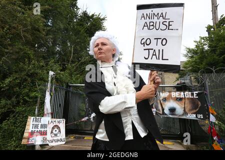 Ein als Richter gekleideter Protestler hält während eines Protestes in Camp Beagle ein Schild mit der Aufschrift „Tiermissbrauch, ins Gefängnis gehen“ hoch. Das riesige amerikanische Unternehmen MBR Acres geht morgen, den 20. August, vor das hohe Gericht, um eine Anordnung zur Entfernung von Camp Beagle zu beantragen. Camp Beagle ist ein Protestcamp, das im Juli 2021 außerhalb von Beagle-Züchtern-Marshal-Bioressourcen (MBR) Acres am Straßenrand errichtet wurde. Die Bewohner des Lagers fordern ein Ende der Welpenzucht für Tierversuchslabors und wollen, dass die Hunde freigelassen und die Anlage geschlossen wird. (Foto von Martin Pope/ SOPA Images/Sipa USA) Stockfoto