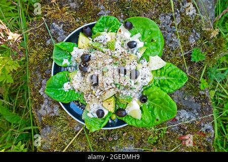 Blick oben auf den Salatteller mit grünen Salatblättern, Avocado, schwarzen Oliven, Sonnenblumenkernen, Ananasstückchen, Moss Hintergrund KATHY DEWITT Stockfoto