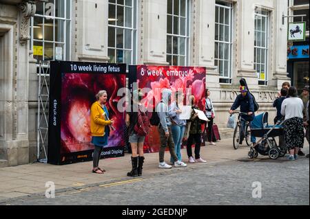 Eine britische CBR mit jungen Frauen im Stadtzentrum von norwich mit Spruchbändern und Postern über die Realität der Abtreibung Stockfoto